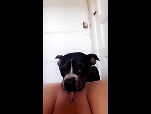 Woman, dog and pleasure