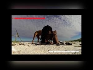 Nikki's Beach: Hardcore and irresistible zoophilia