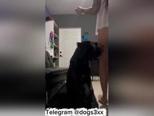 The Bestial Design: Women Subordinated to Canine Power