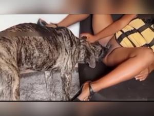 Chien sauvage : Acte brutal et sans pitié