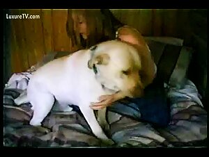 My Bestiality Collection #32