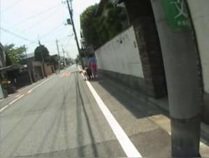 Uncontrolled zoophilia: Bestiality in the extreme