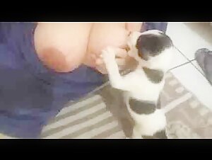 Canine privacy: a unique experience