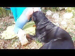 Fugitive Amateur and her Dog