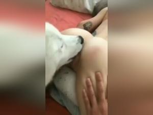 Animal orgasms, exacerbated desires