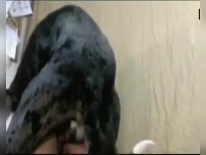 Identificato Animal: Fuga canino hardcore