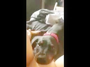 Dog Licking Intimately - Part 2