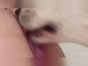 Delicias prohibidas: bestialidad rubia y crueldad canina