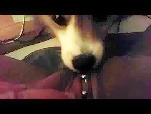 Intimate Moment with a Dog