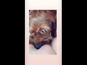 Lick 5 - A submissive female dog and her four-legged friend