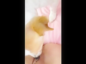 Woman and her dog, a forbidden love story