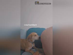Doggy Delights: A Tasteful Licking Session