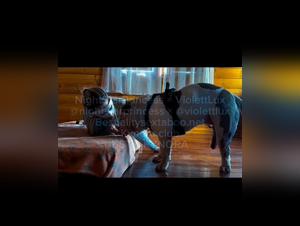 NightStarPrincess and Violett Lux in Equine Zoophilia Action with BST & KYNORA