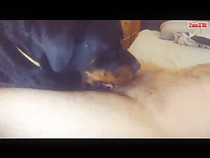 Dog subjected to extreme domination