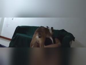 Horse Fuck Extreme - Part 6
