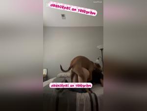 teen alone, abus animal extrême
