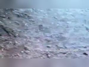 Experimentez la Passion Sauvage : Sexe Animal Féminin Intense