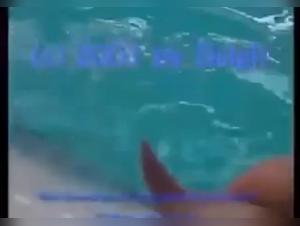 Go beyond the limits: Animal Delights with Milly