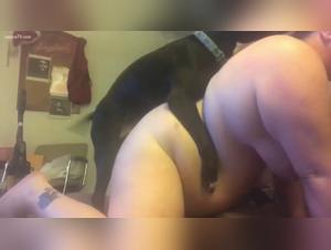 Bestialidad xxx en video: los secretos de las mujeres perras