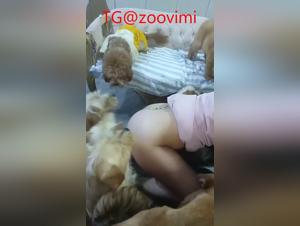 Chinese mistress and her canine delights: taking it to the extreme
