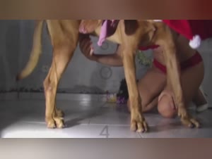 Lise's Festive Encounter: Christmas Zoophilia with a Canine Companion