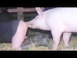 Woman and dog: a beastly encounter