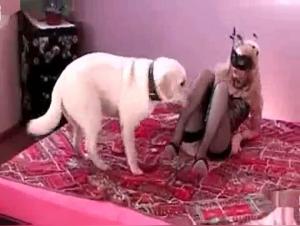  Chien lèche la chatte d'une blonde délurée