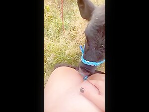 Frau und Hund - Eine verbotene Begegnung