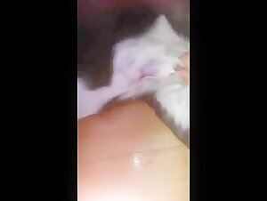 masturbando il mio cane