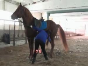 Olga's Incredible Debauchery: Extreme Animal Fuck