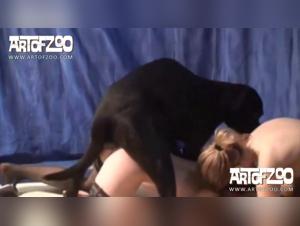 Guilt and Canine Debauchery: A Hardcore Sex Trip
