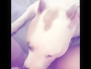 Intimate Moment with a Dog
