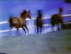 Woman and Horse - Forbidden Scenes (1985)