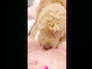 Mommy Cum - Bestiality Video