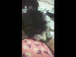 Cane sottomesso alla sua padrona