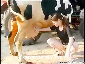 Donna e cane: un incontro proibito