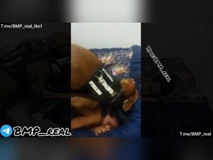 Benji Production: Neue Girl - Wilde Hunde-Dominanz