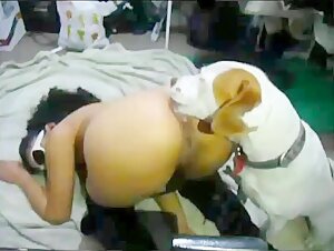 La donna e il suo fedele compagno canino