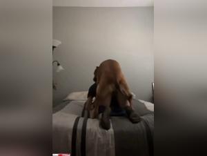 Comportamento bestiale: visioni empie