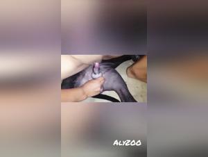 Obscene Delights: Feminine and Animal Power