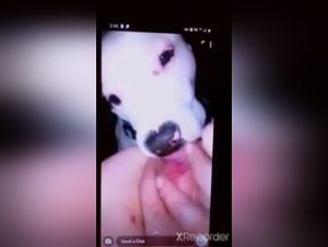 Bitch Kisses & Licks: Girl on the Verge of Madness
