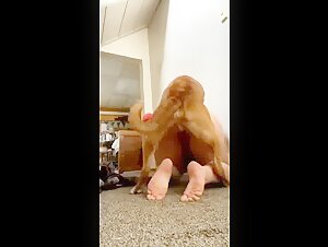 Lonely woman indulges in frolics with her dog