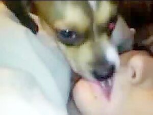 Intense Doggie Kiss