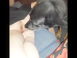 AMZMVSTAR 06 - Intimacy with a Dog