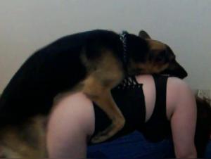 Obscene Delights: Dog vs Woman