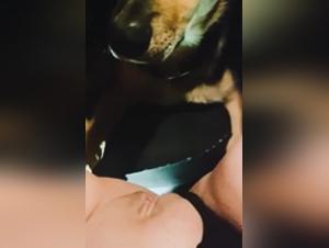 orgias felinos salvajes e intrepidos
