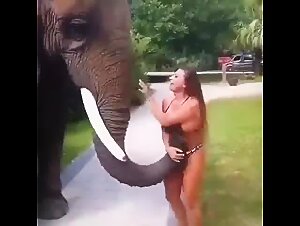 L'elefante afferra il seno di un cane sporco: video Zoophilia per gli amanti del porno animale!