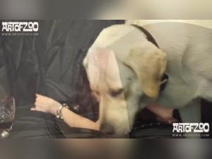 Bestialita con una figa intelligente