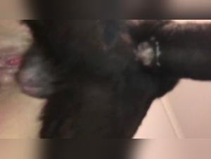 Canine Wildness: Silento Veronica Embraced by Unhinged Hedonism