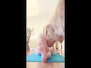 Blonde woman and dog: a beastly encounter